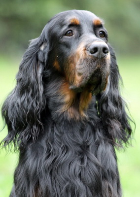 William